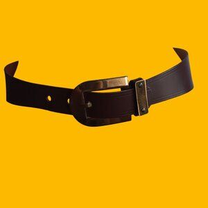 Women's Size 26 Vintage Belt Fashion Hip Gold-Tone Oversized Buckle Roger Van S